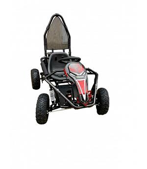 Buggy de Gasolina 125 cc 4 Tiempos Automático con Arranque Eléctrico RHM